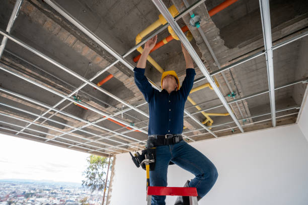 Best Residential Plumbing Services  in Fayette, IA