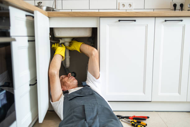 Best Septic Systems  in Fayette, IA